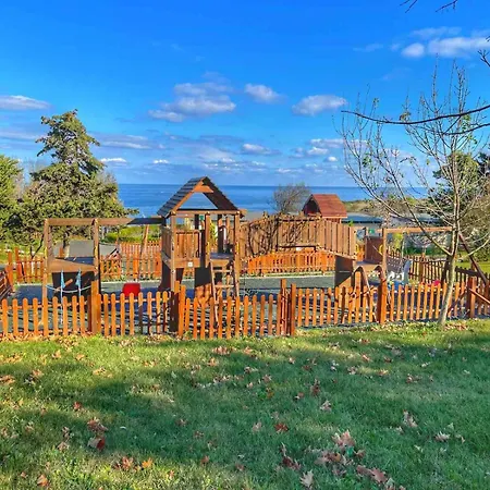 и Kаравани дрийм гардения קיטן