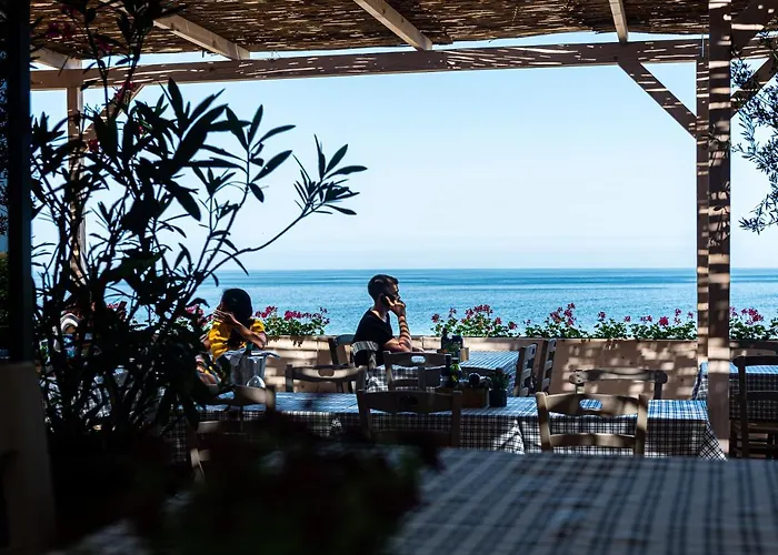 и Kаравани дрийм гардения * קיטן