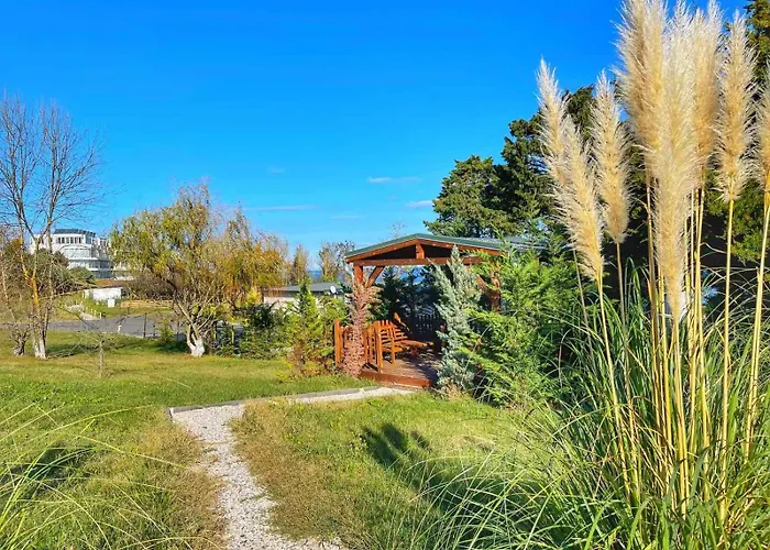 и Kаравани дрийм гардения קיטן