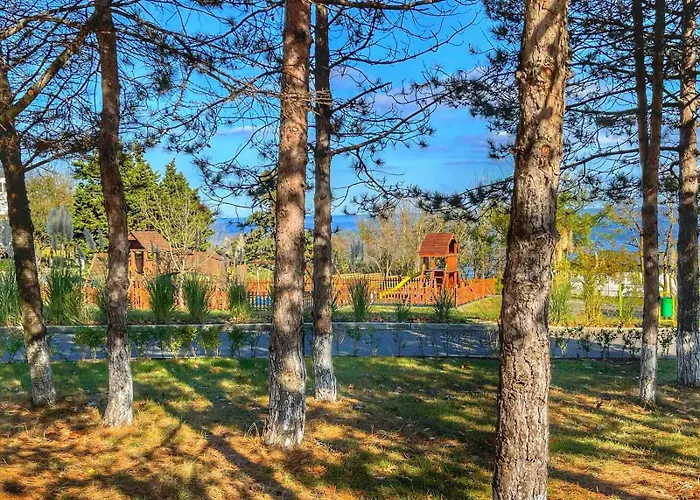 и Kаравани дрийм гардения * קיטן