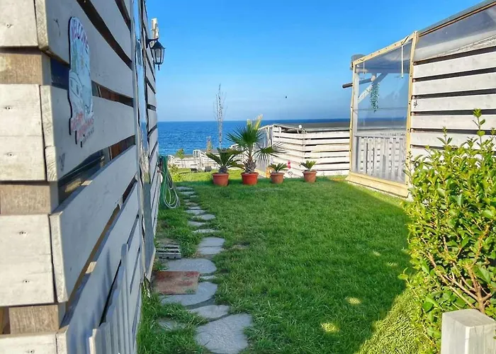 и Kаравани дрийм гардения * קיטן