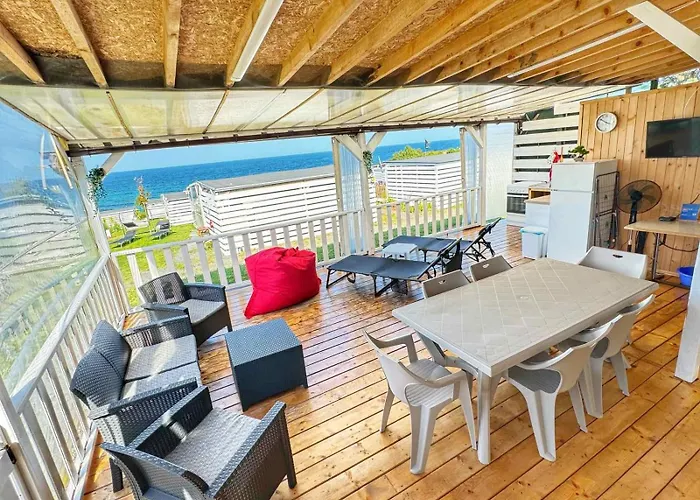 и Kаравани дрийм гардения קיטן