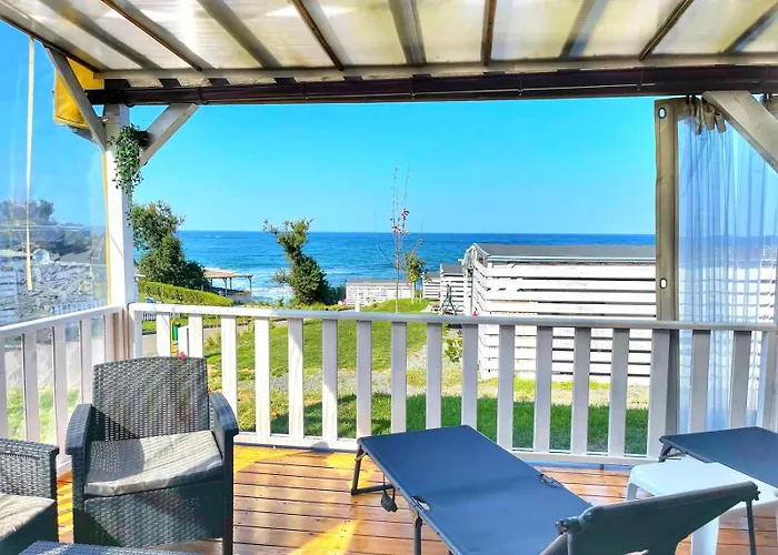 и Kаравани дрийм гардения * קיטן