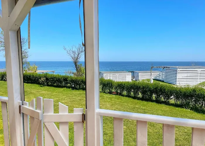 и Kаравани дрийм гардения * קיטן