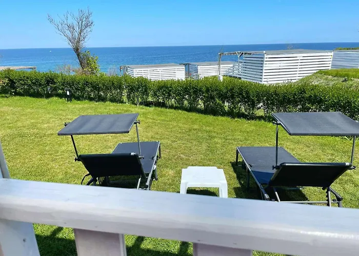 и Kаравани дрийм гардения קיטן