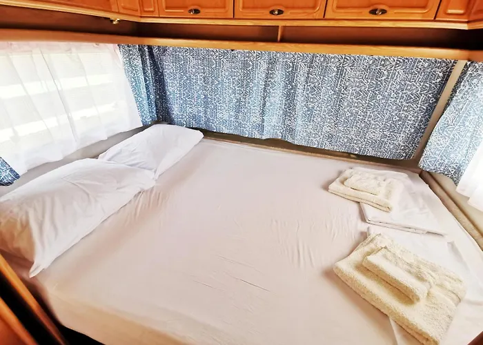 и Kаравани дрийм гардения *