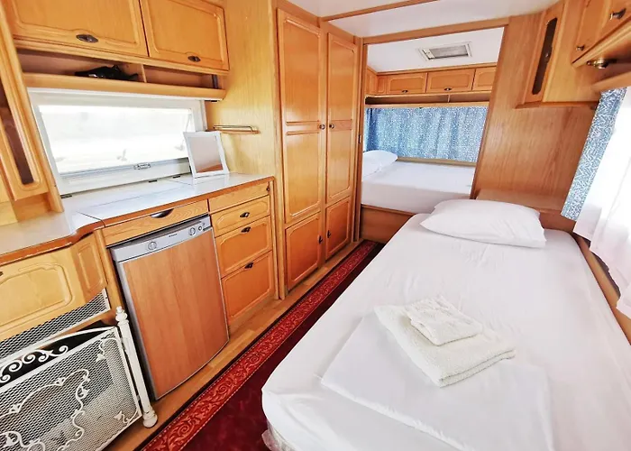 и Kаравани дрийм гардения