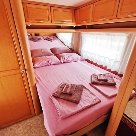 и Kаравани дрийм гардения Kemp *