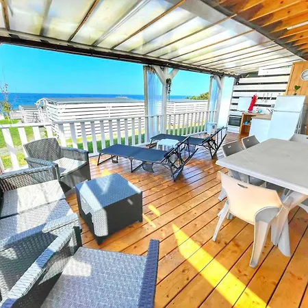 и Kаравани дрийм гардения Kemp