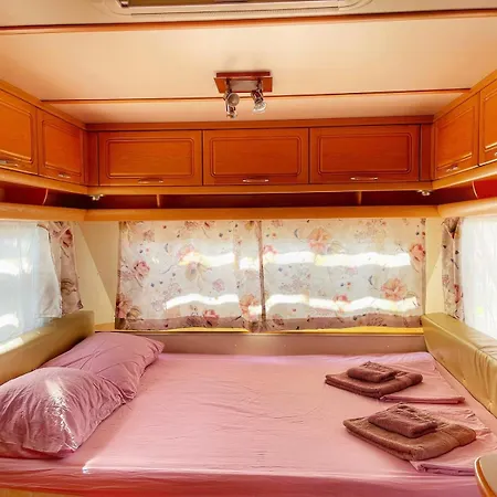 Kemp и Kаравани дрийм гардения *