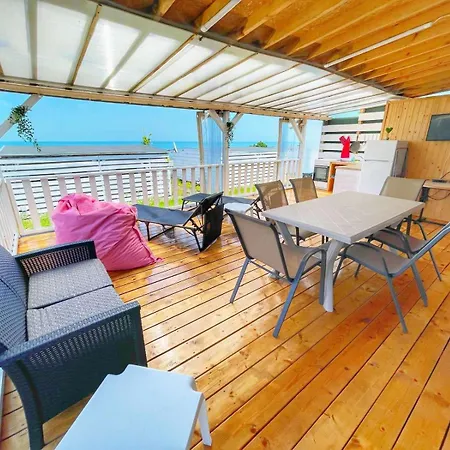 и Kаравани дрийм гардения