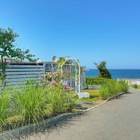 и Kаравани дрийм гардения Kemp *