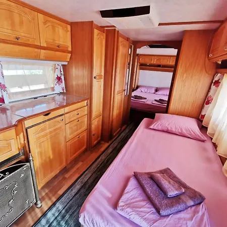 и Kаравани дрийм гардения *