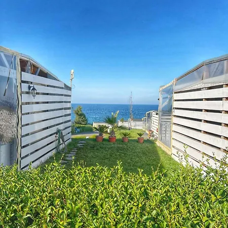 Kemp и Kаравани дрийм гардения