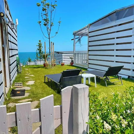 и Kаравани дрийм гардения Kemp *