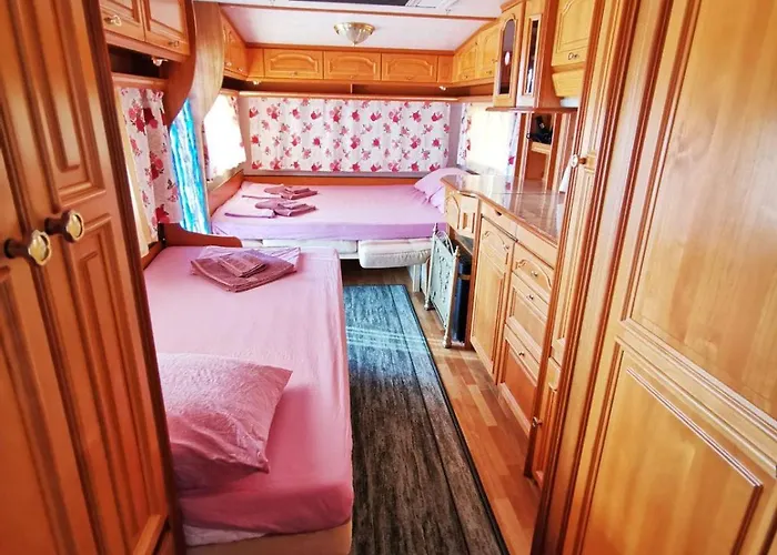 и Kаравани дрийм гардения